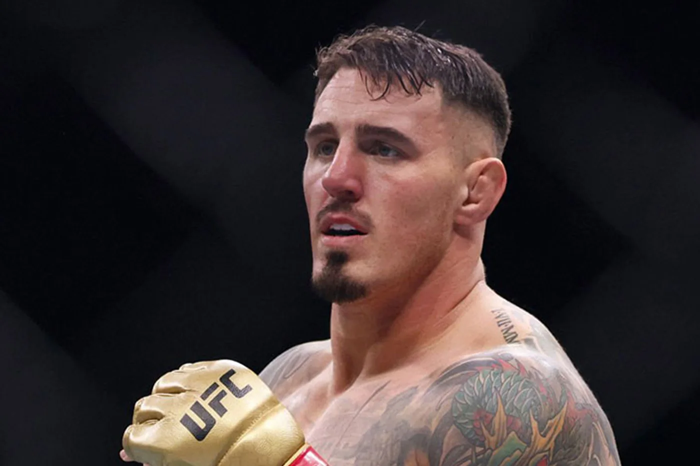 Хирн: Аспиналл зарабатывает больше вне октагона UFC